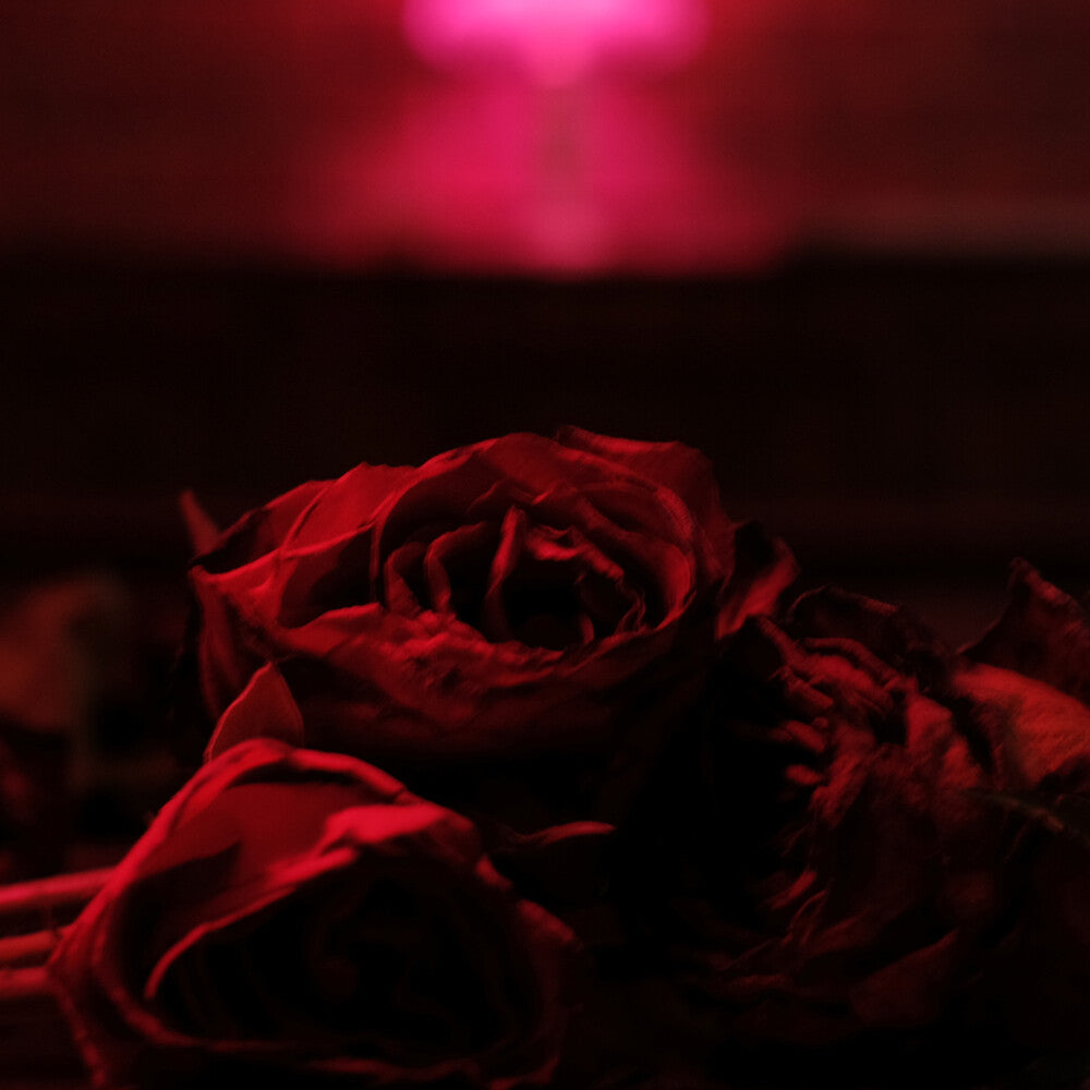 Roses [LP]