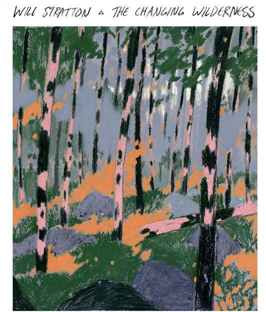 Changing Wilderness [LP]