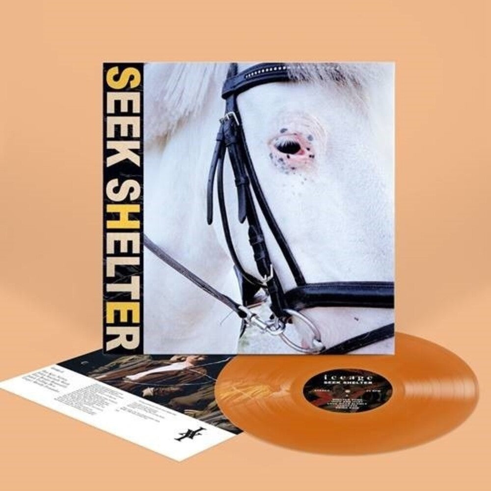 Seek Shelter [Indie Exclusive Limited Edition Orange LP]