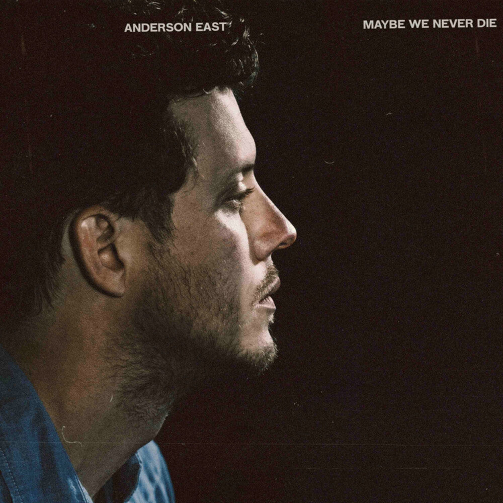 Maybe We Never Die [LP]