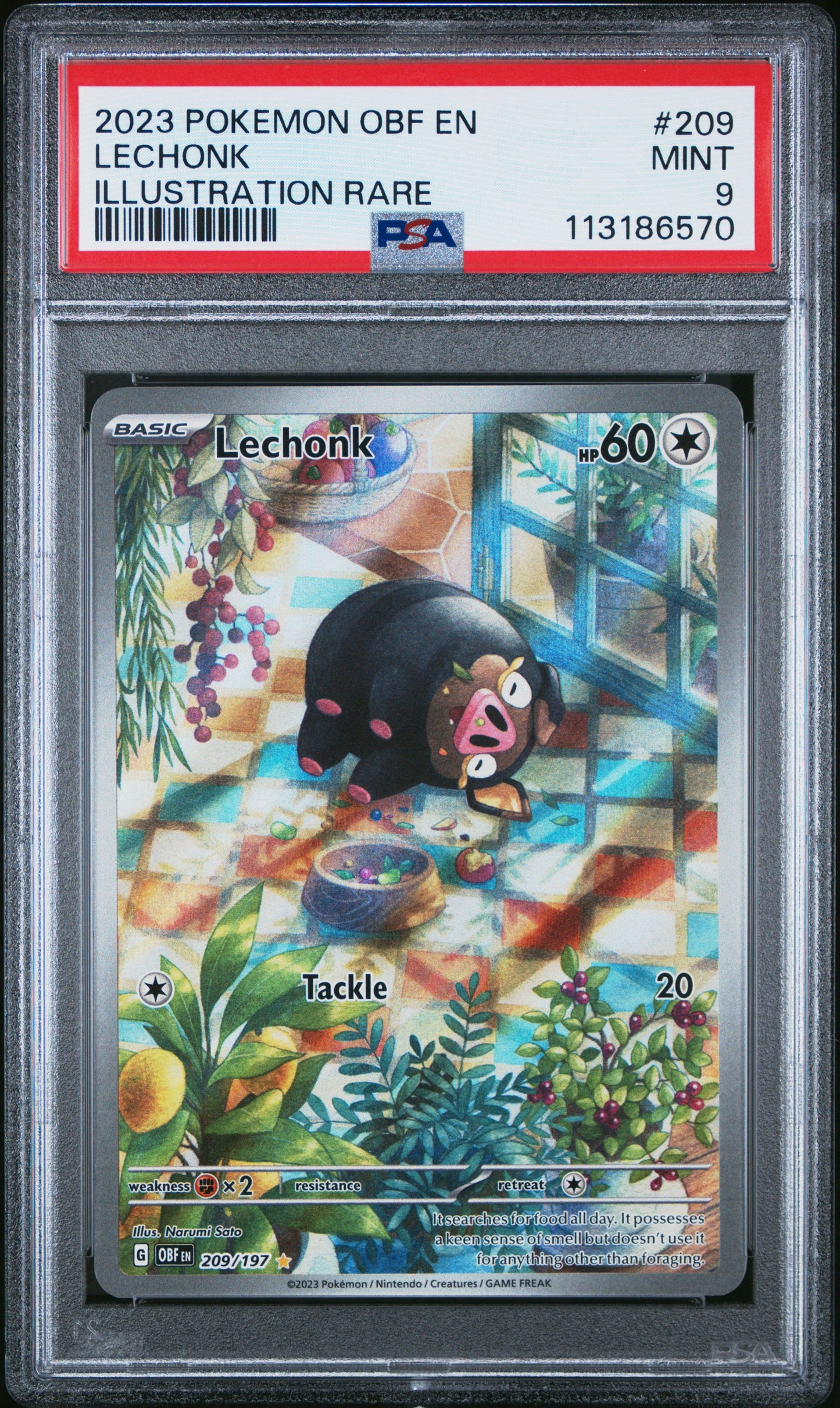 2023 Pokemon Obf En-Obsidian Flames Illustration Rare Lechonk 9 PSA #209