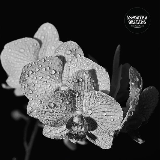 Assorted Orchids [LP]