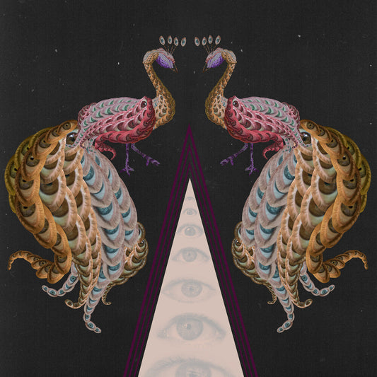New Age Soul [LP]