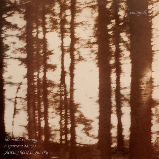 Wind Is Strong [LP]