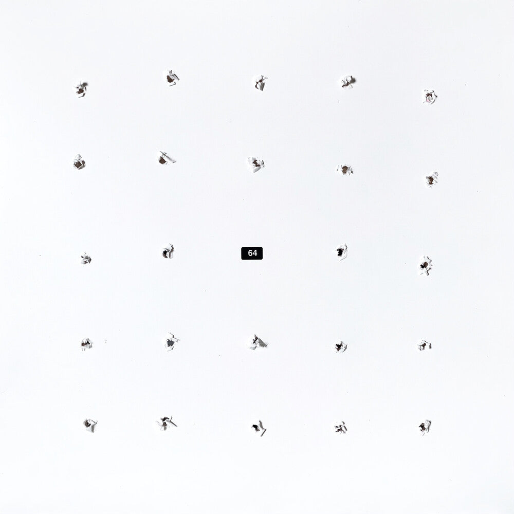 Split Series 24 [LP]