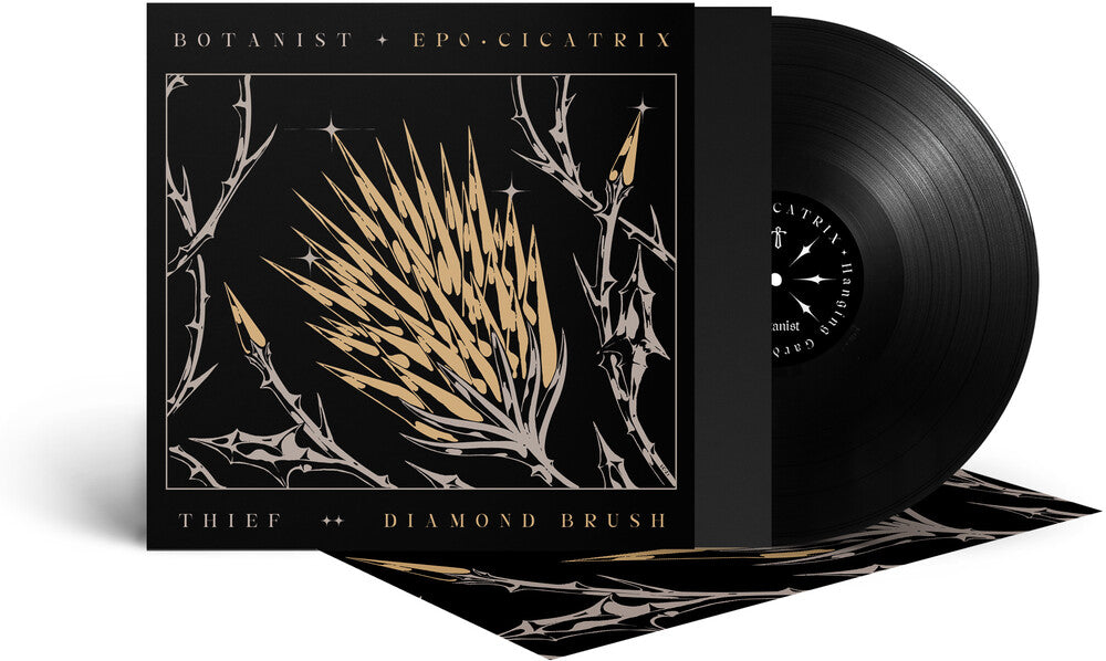 Cicatrix / Diamond Brush [LP] - Golden Apple Comics