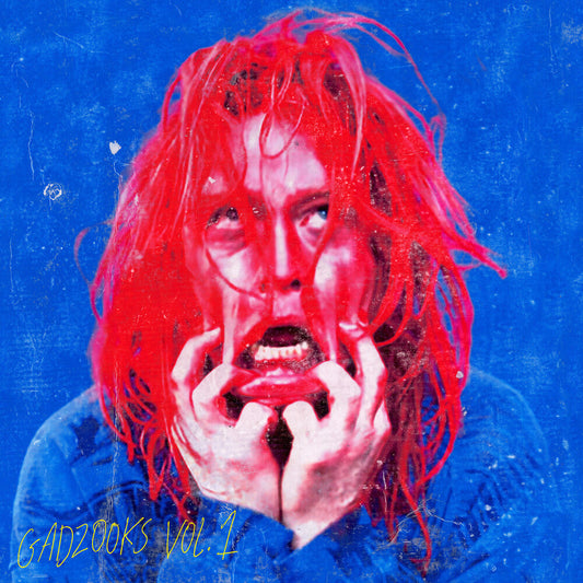 Gadzooks Vol. 1 [LP]