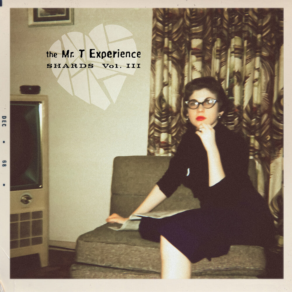 Mr. T Experience - Shards Vol. 3 [LP]