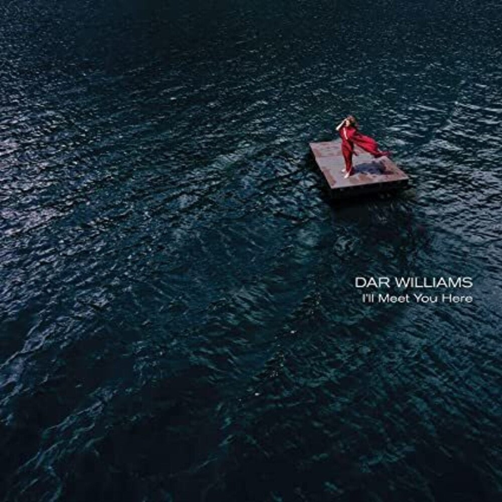 Dar Williams - I'll Meet You Here [LP]
