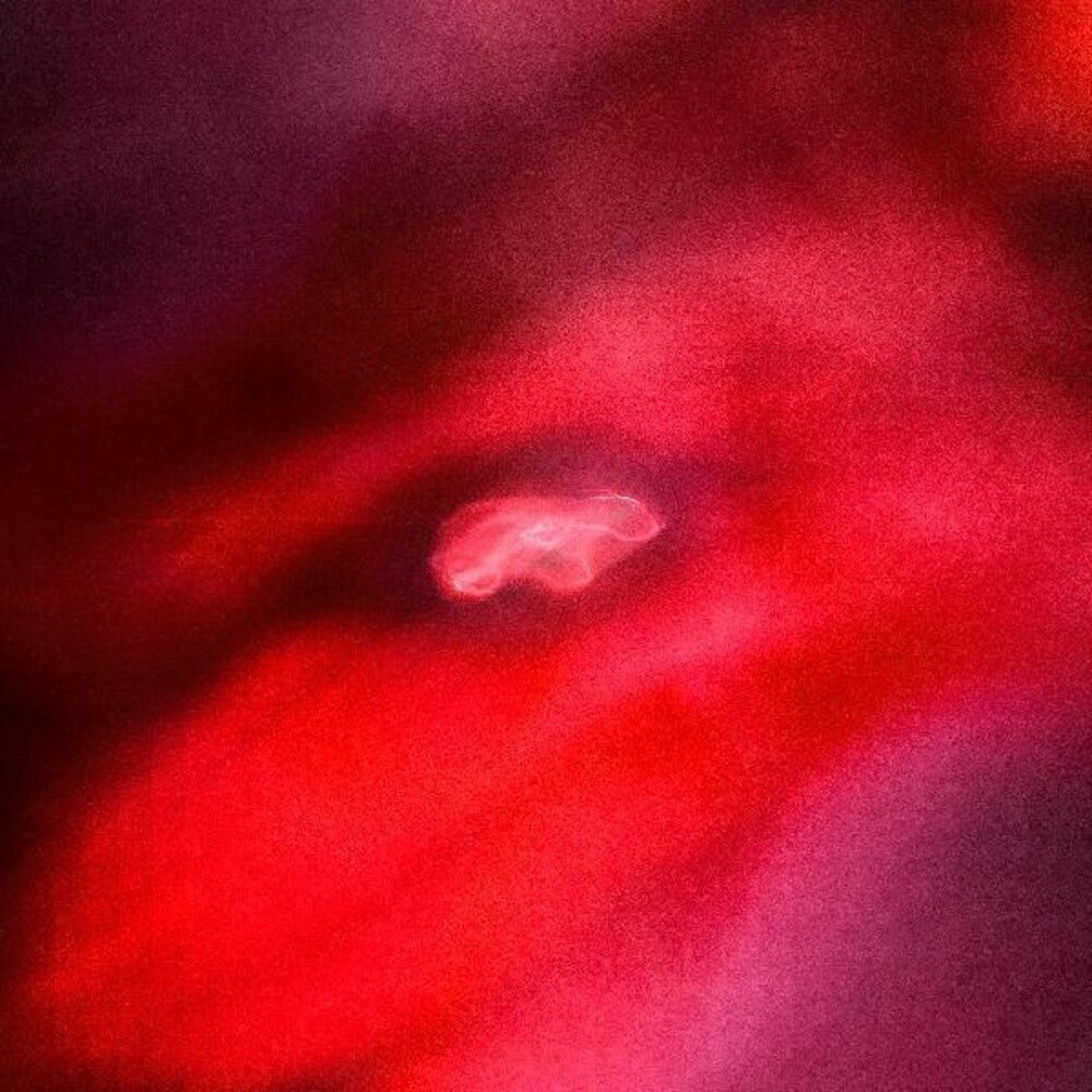 Faded Orbit [Indie Exclusive Limited Edition Red LP]