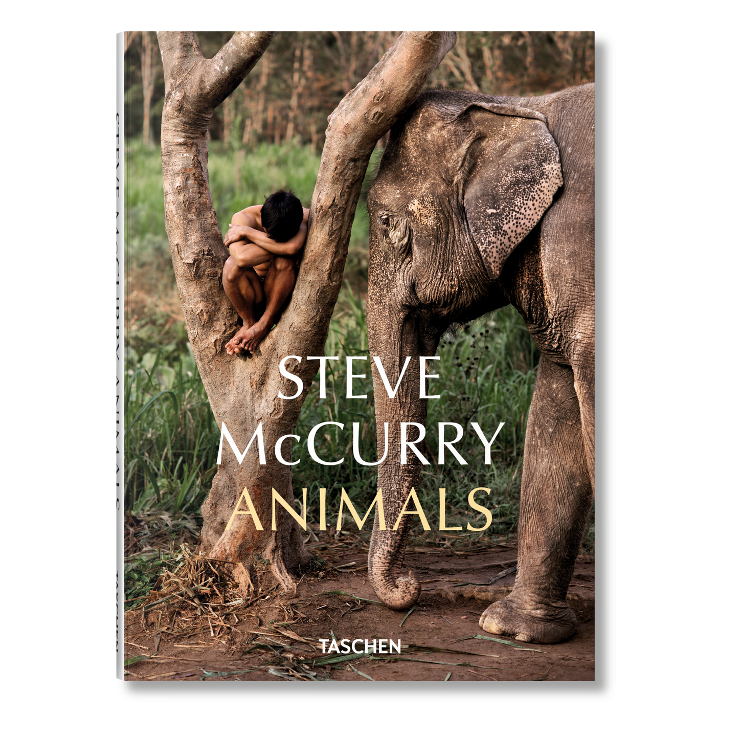 Steve McCurry. Animals (English)