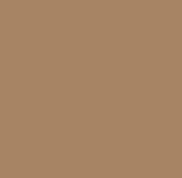 AK Interactive 11340 AFV Series: Nº13 Desert Sand FS30279 3G Acrylic Paint 17ml