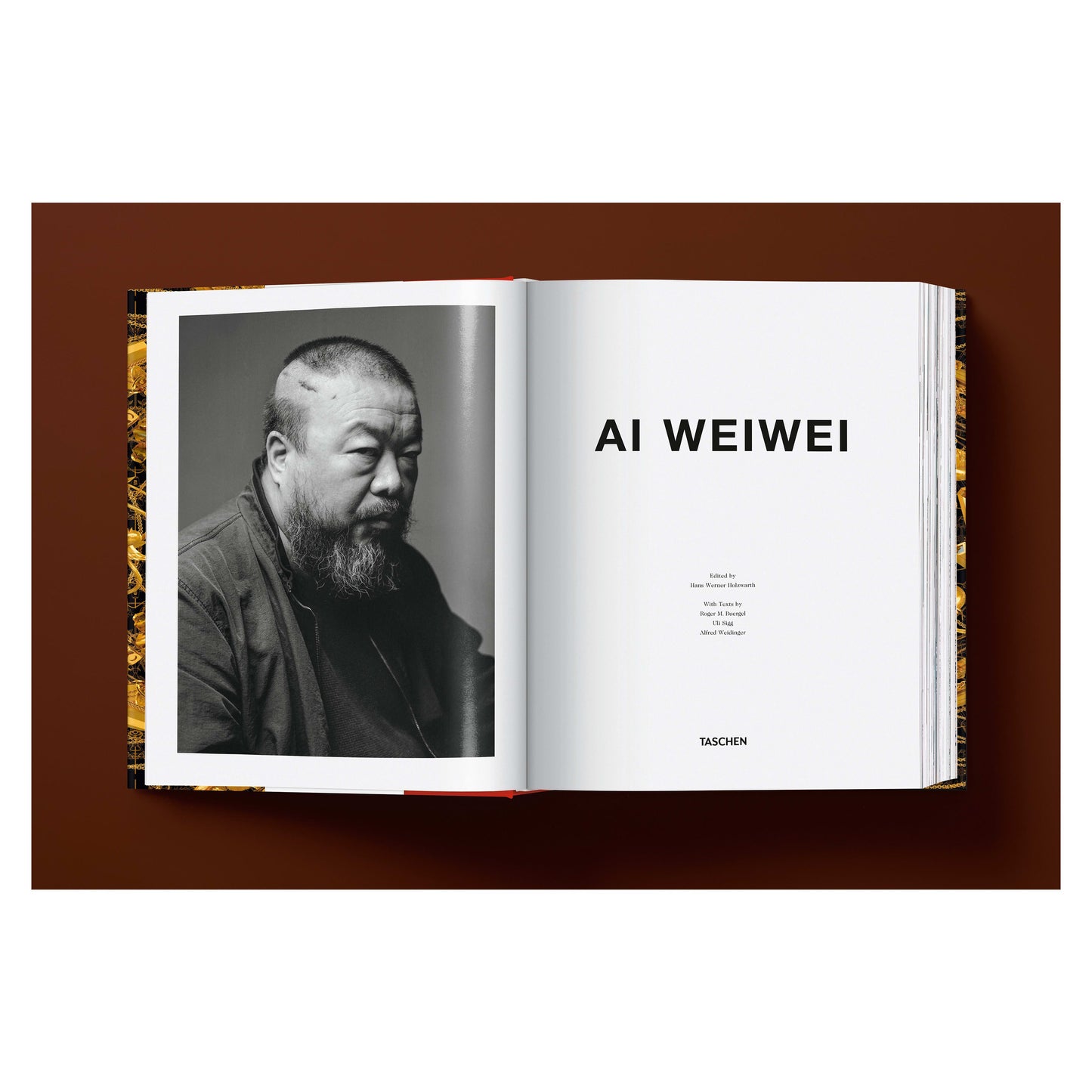 Ai Weiwei. Updated Edition (German, French, English)