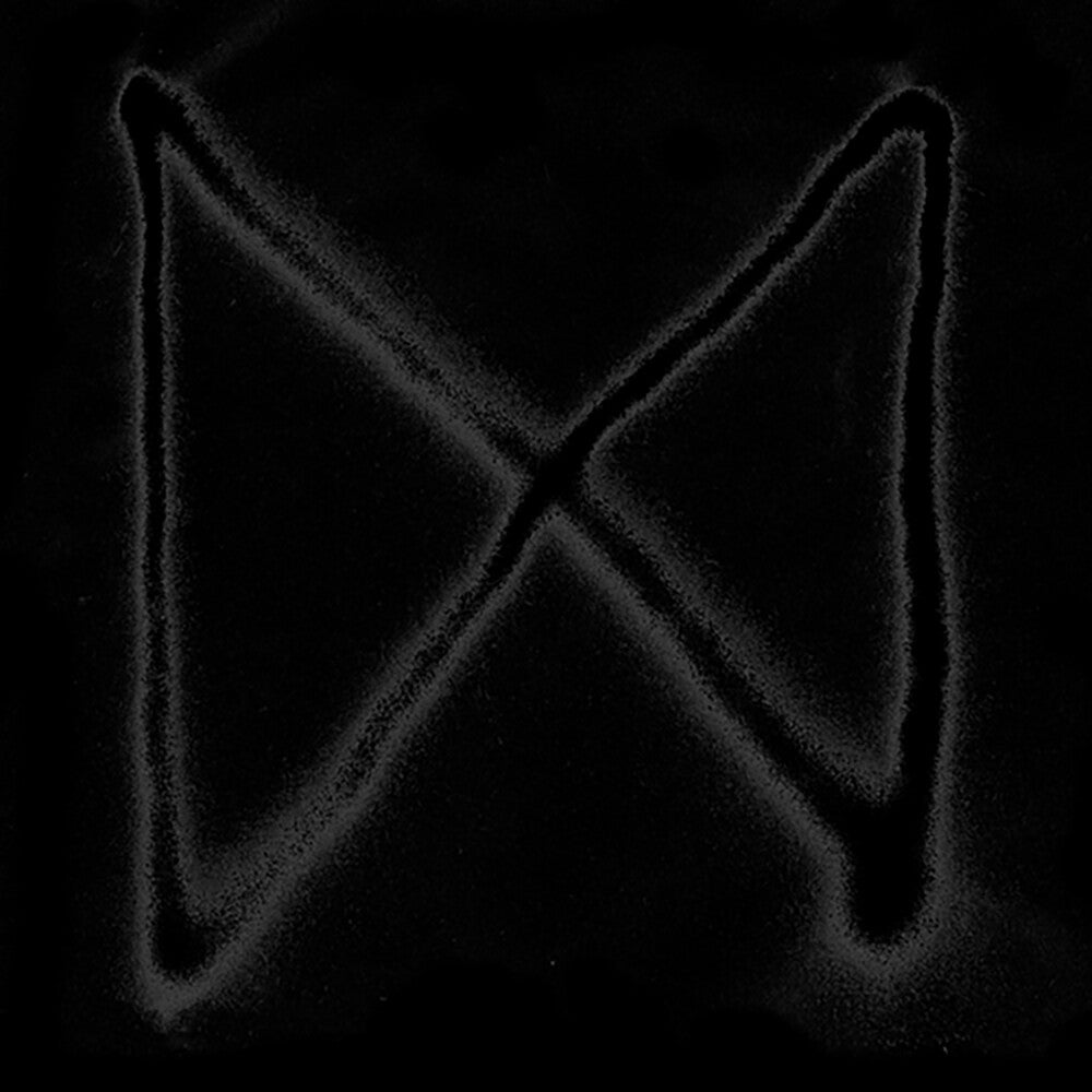 X (Remixes) [12" Vinyl]