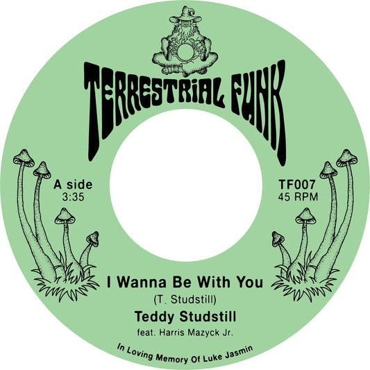 I Wanna Be With You / There Comes A Time [7" Vinyl]