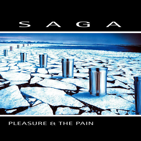 Pleasure And The Pain [LP]