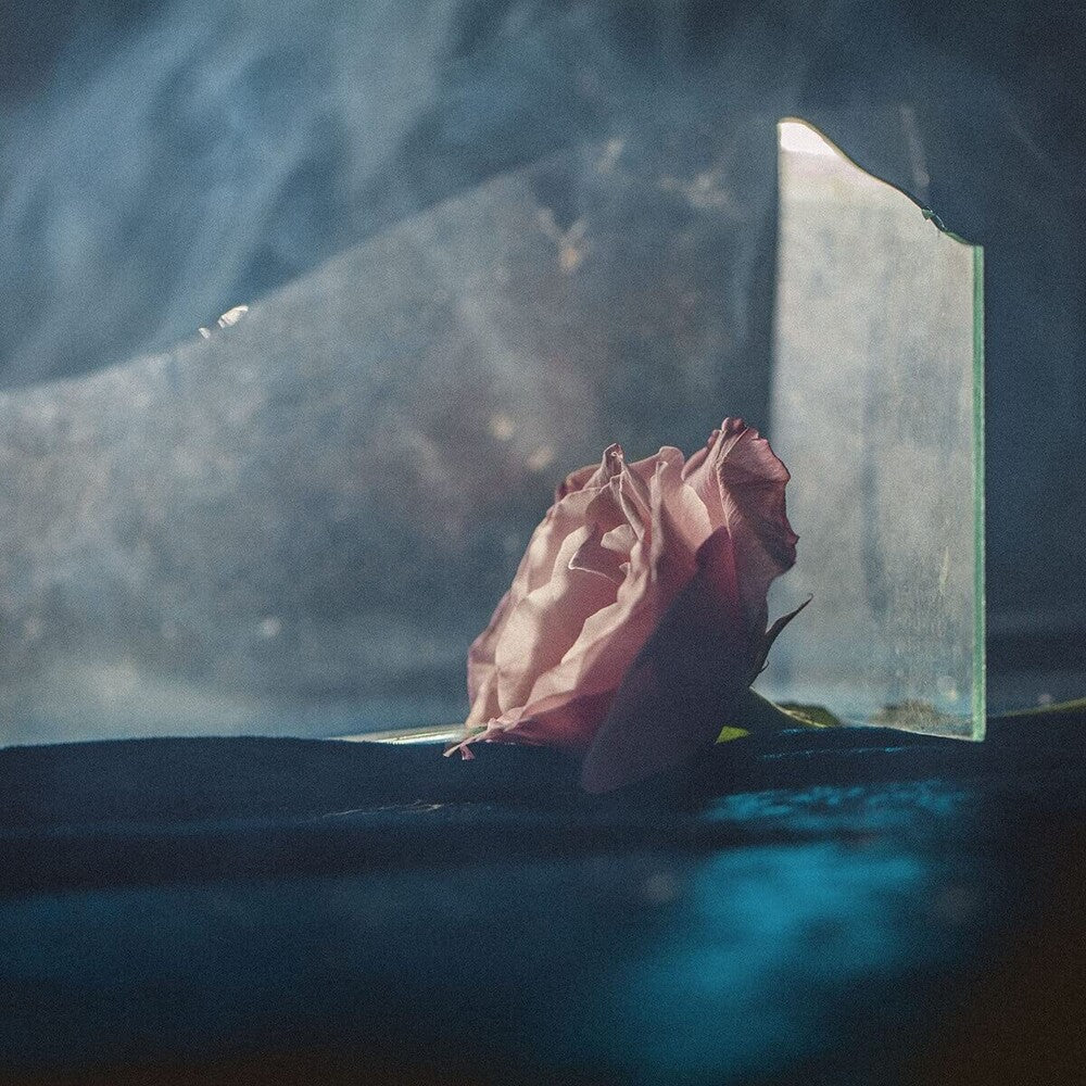 In Virus Times [LP]