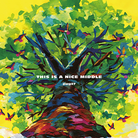 This Is A Nice Middle (Jpn) [LP]