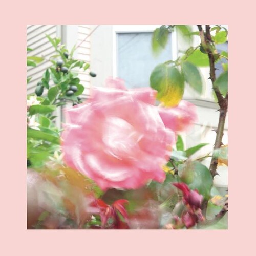 Reds Pinks and Purples - Summer At Land's End (Indie Exclusive Vinyl)