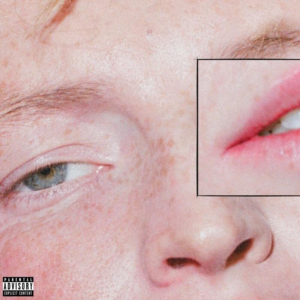 Dandelion [LP]