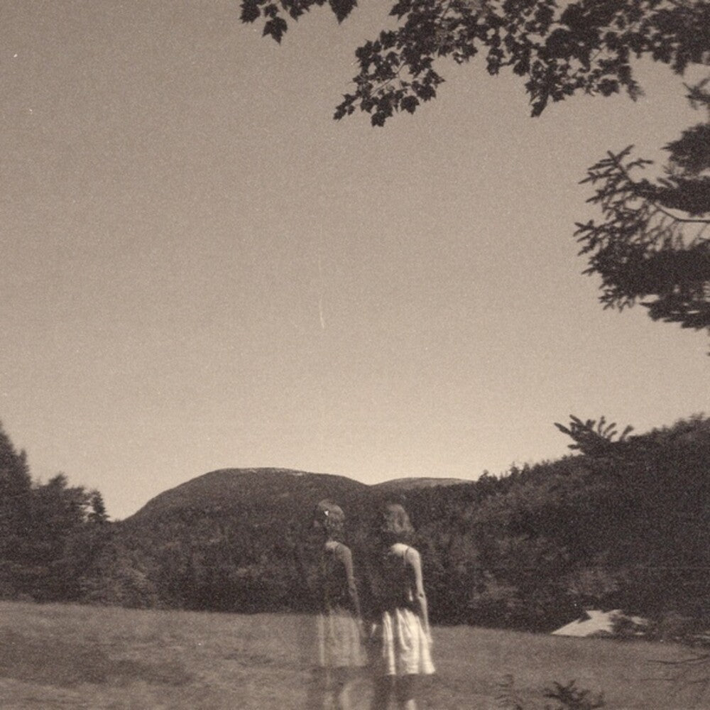 Goldmund - Malady Of Elegance [LP]