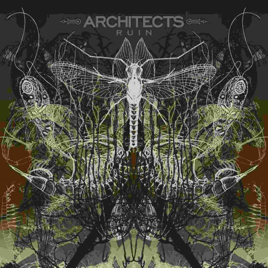 Architects - Ruin (Can) [LP]