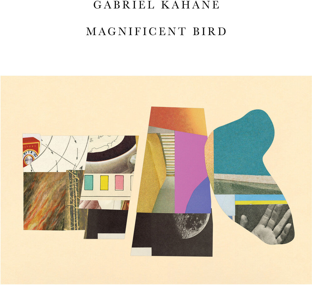 Magnificent Bird [LP]