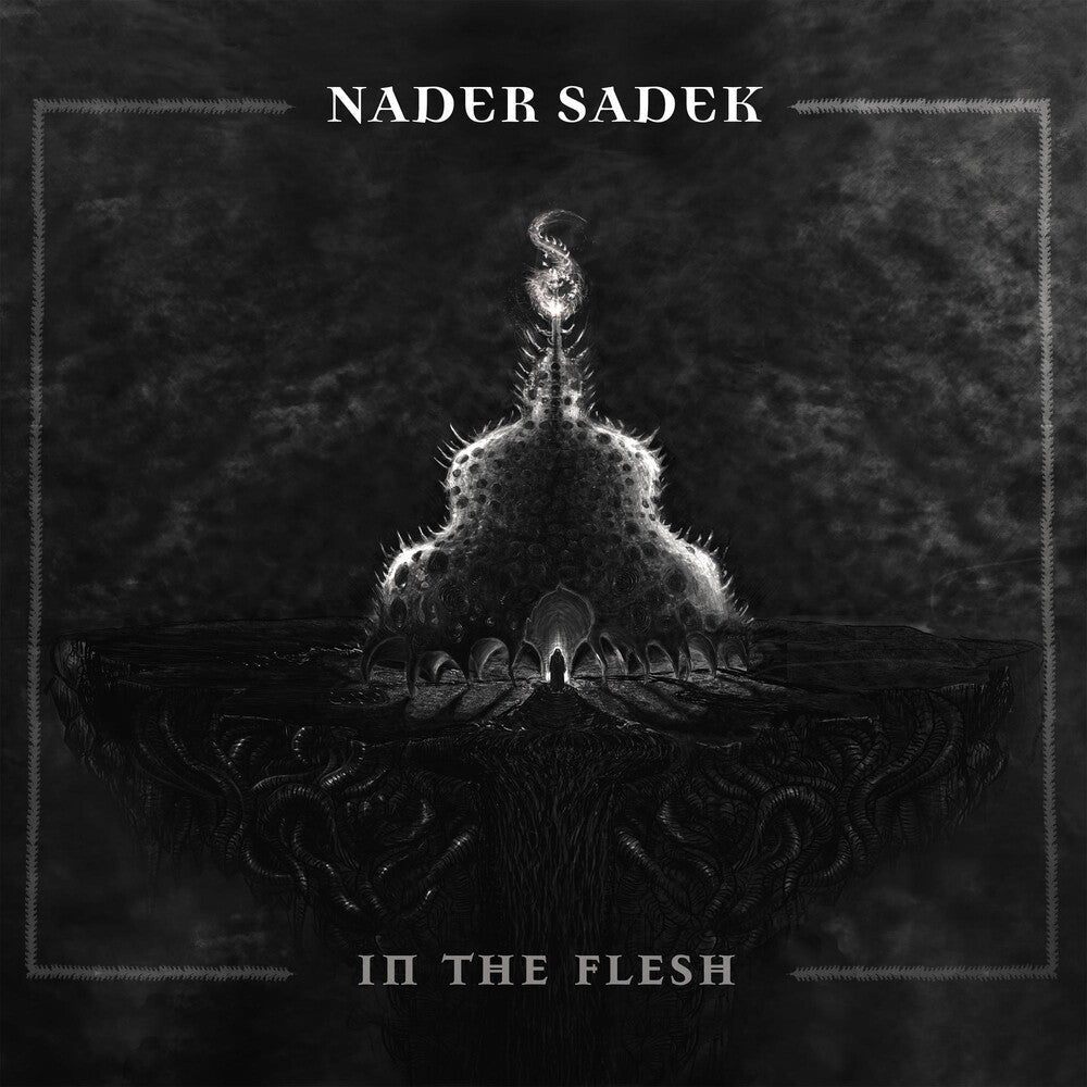 In The Flesh [LP]