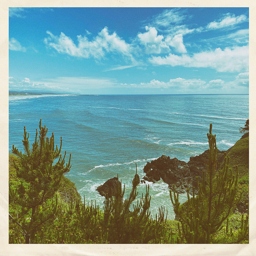 Nothing But Summer [7" Vinyl]