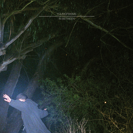 In Between: 10 Year Anniversary [Blue LP]