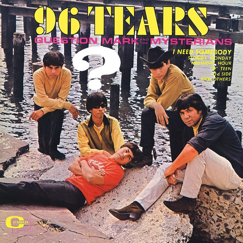 96 Tears [LP]