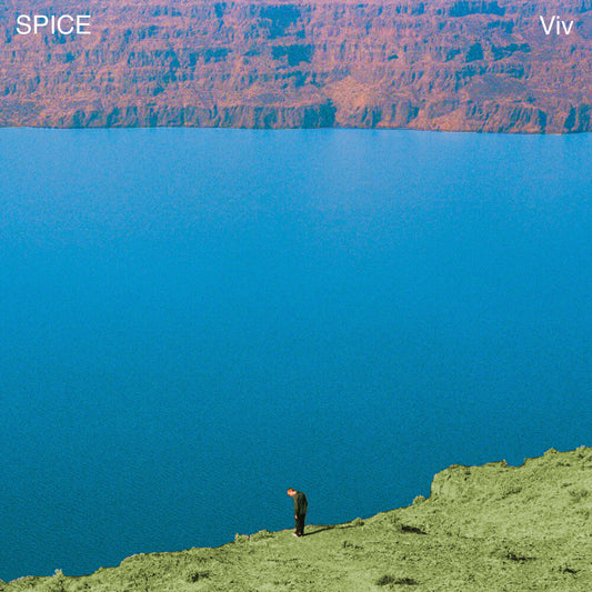 Viv [LP]