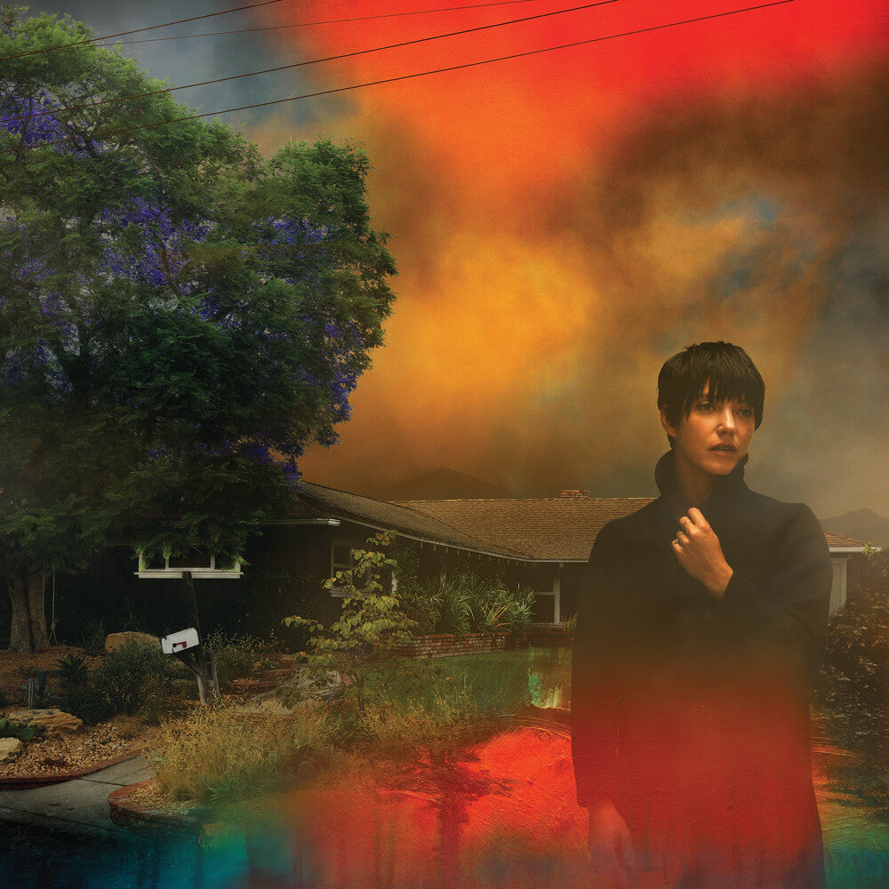 We've Been Going About This All Wrong [Marbled Smoke LP]