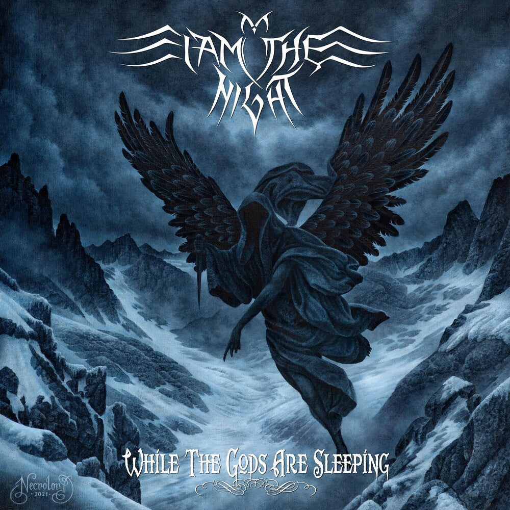 While The Gods Are Asleep [LP]