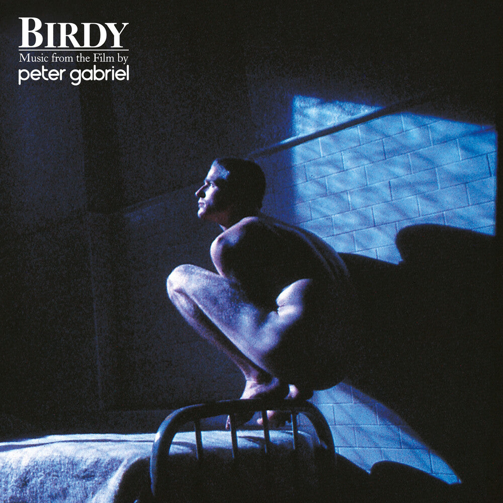 Birdy: Music From The Film [LP]