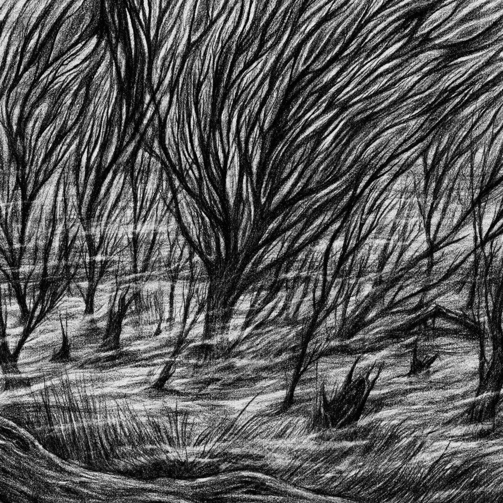 The Eternal Marshes [LP]