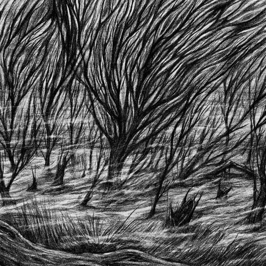 The Eternal Marshes [LP]
