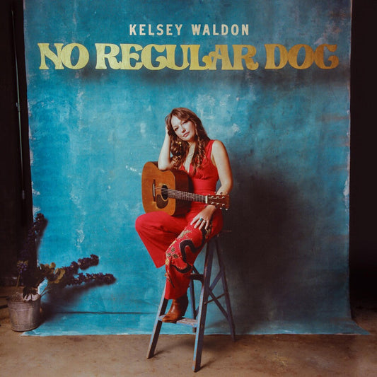 No Regular Dog [LP]