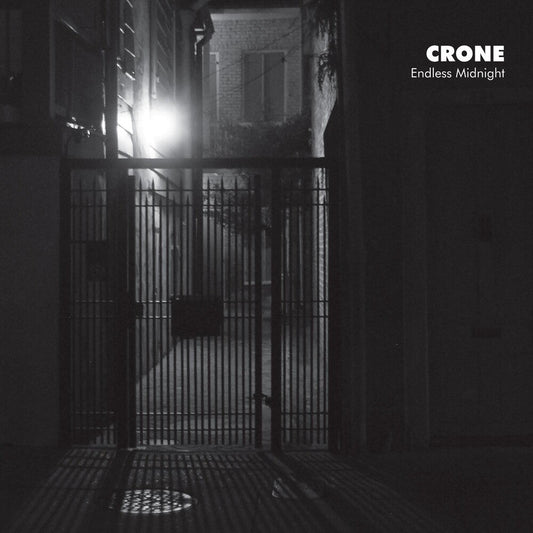 Endless Midnight [LP]