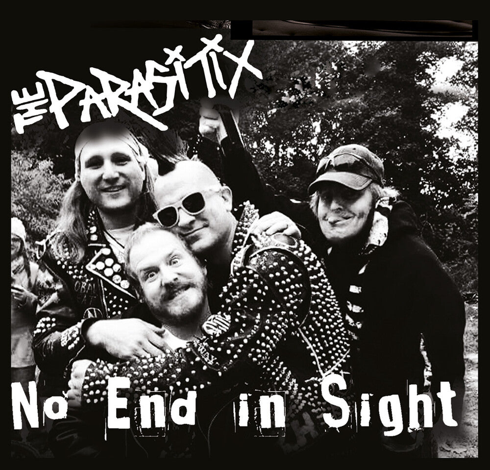 No End In Sight [LP]