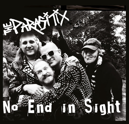 No End In Sight [LP]