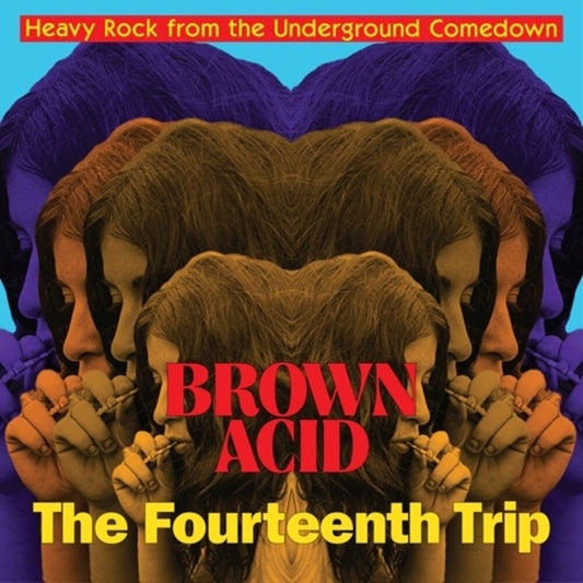 Brown Acid - Fourteenth Trip (Various Artists) [LP]