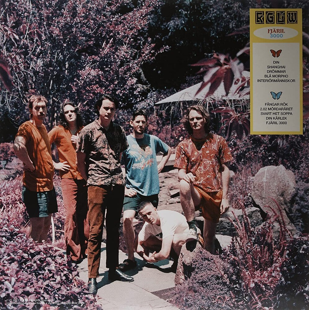 Butterfly 3000 [Indie Exclusive Limited Edition Swedish LP]