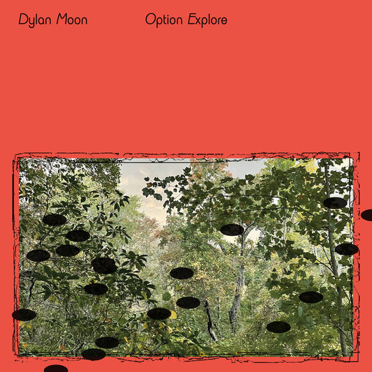 Option Explore [LP]