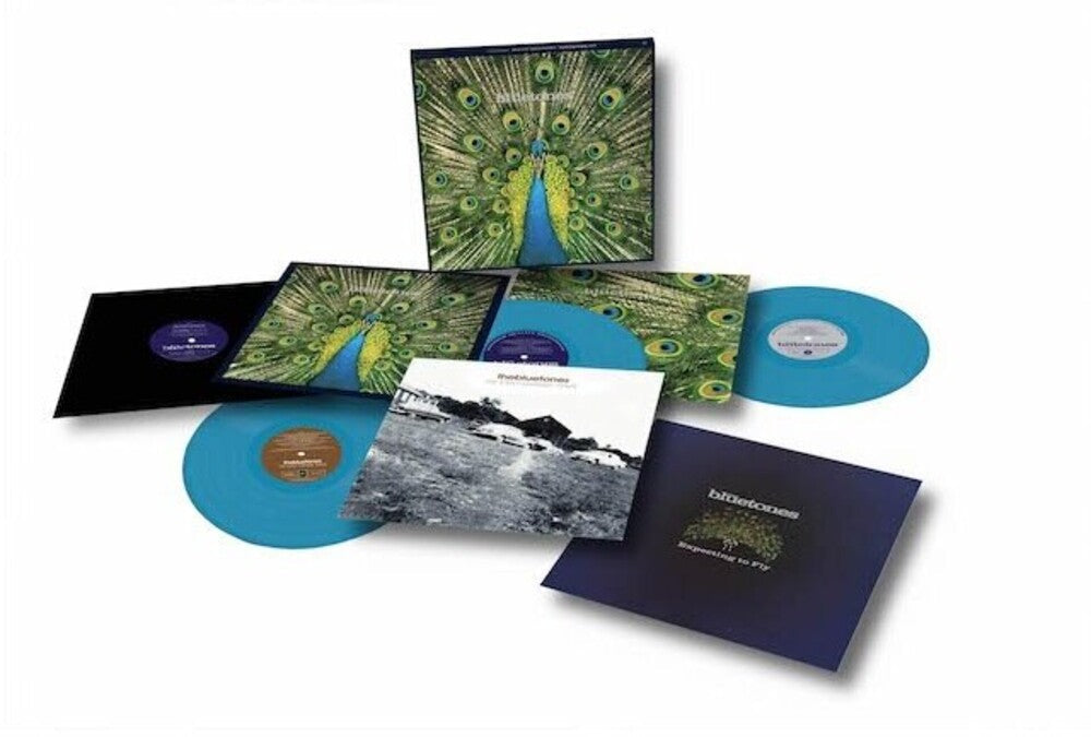 Expecting To Fly: 25th Anniversary (Blue) [Colored Vinyl]