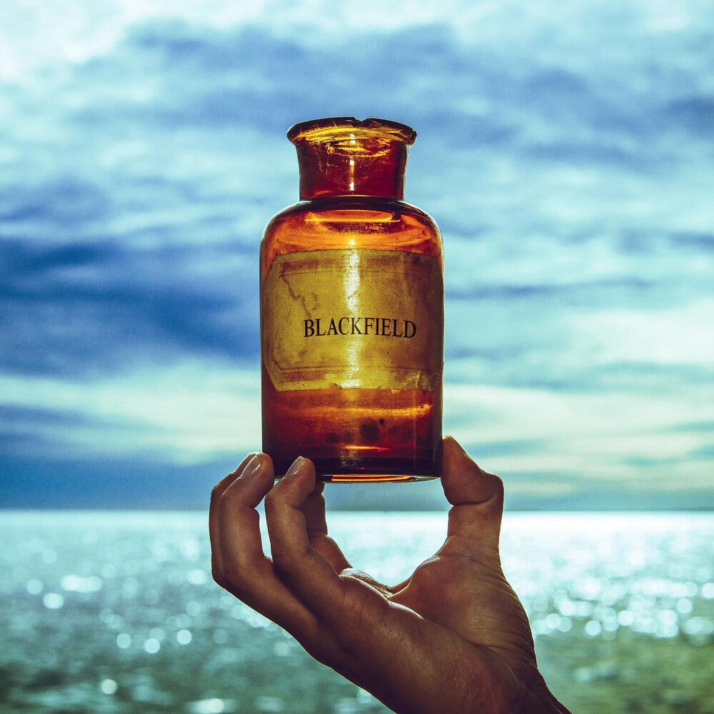 Blackfield V [LP]