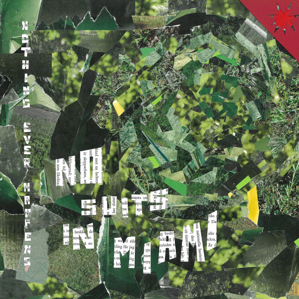 Nothing Ever Happens [LP]