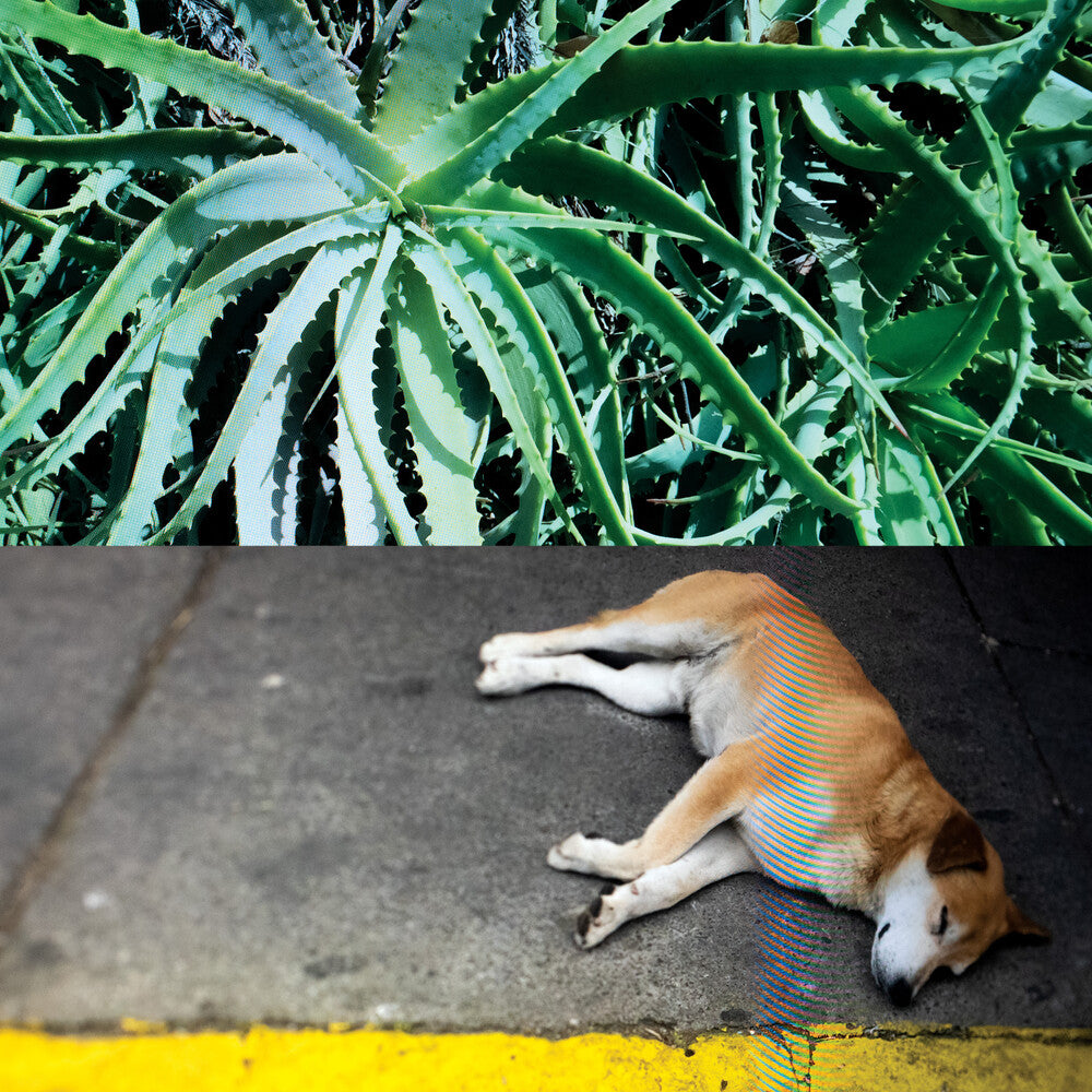 All The Things That Happen [LP]