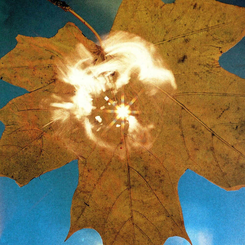 Force Of The Wind [LP]