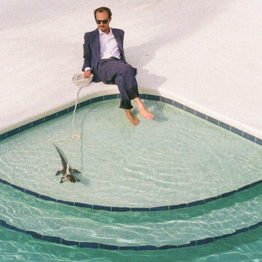 Days In The Summer [LP]